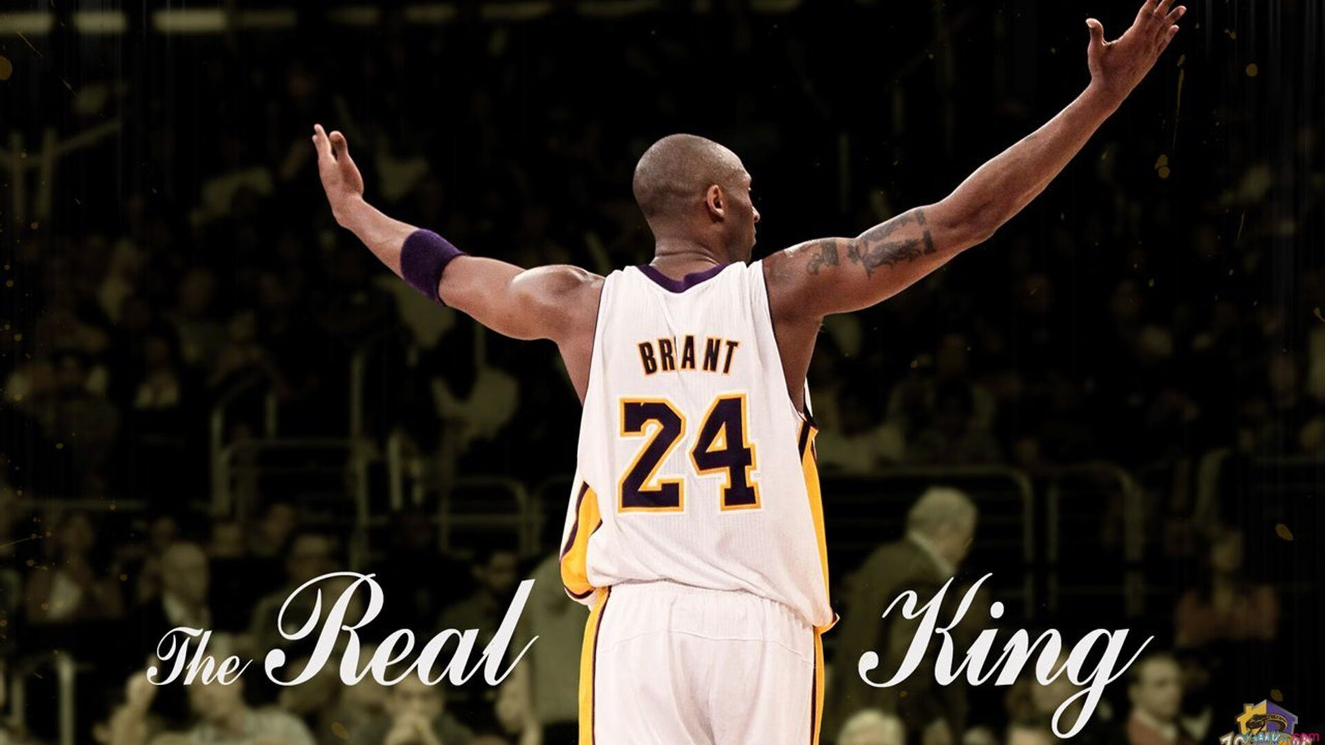 运动营养受到重视